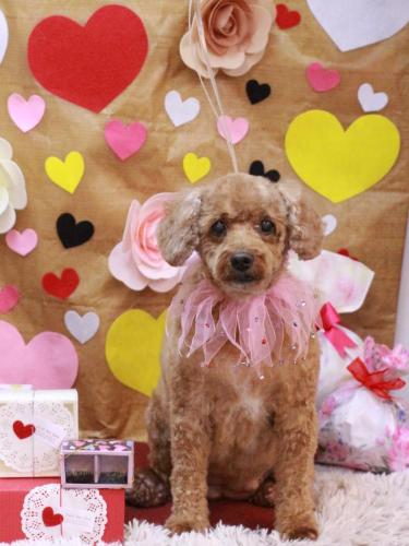 20230216美喜ちゃん